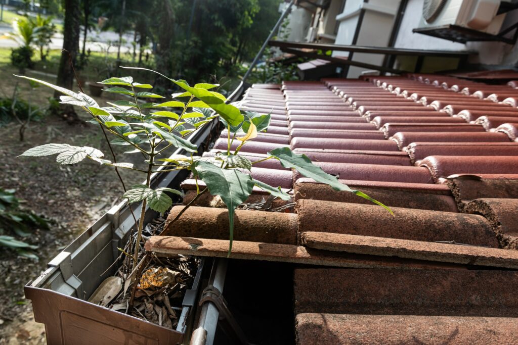 Gutter Upkeep: Miami’s Key to Home Protection